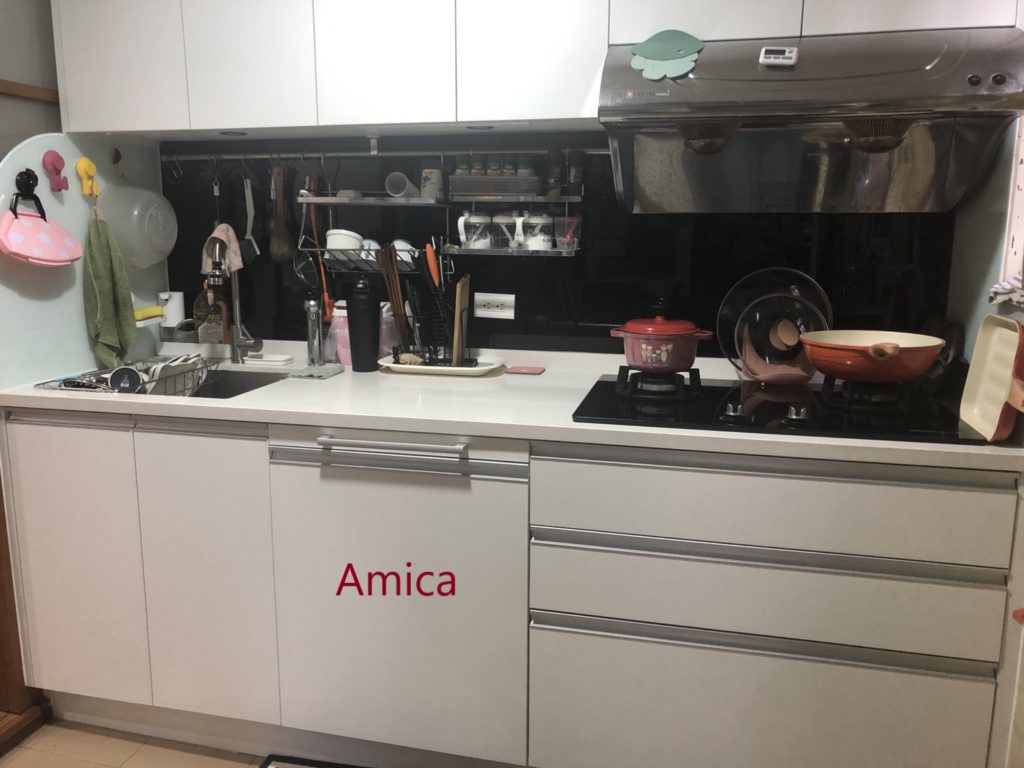 Amica洗碗機安裝